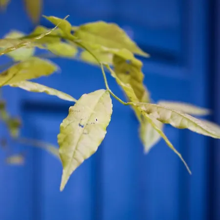 El 8 De Serranos - 1º - Casa Con Garaje León