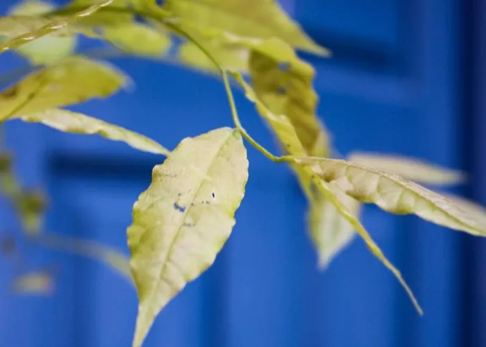 El 8 De Serranos - 1º - Casa Con Garaje León