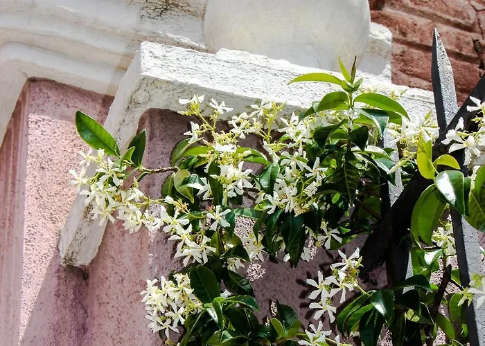 El 8 De Serranos - 1º - Casa Con Garaje * León